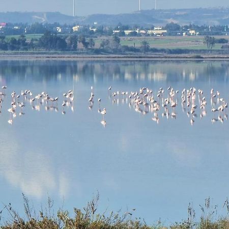 Cozy Beach Apt / 100 Mbit+ Netflix / Near Airport Larnaca Eksteriør billede