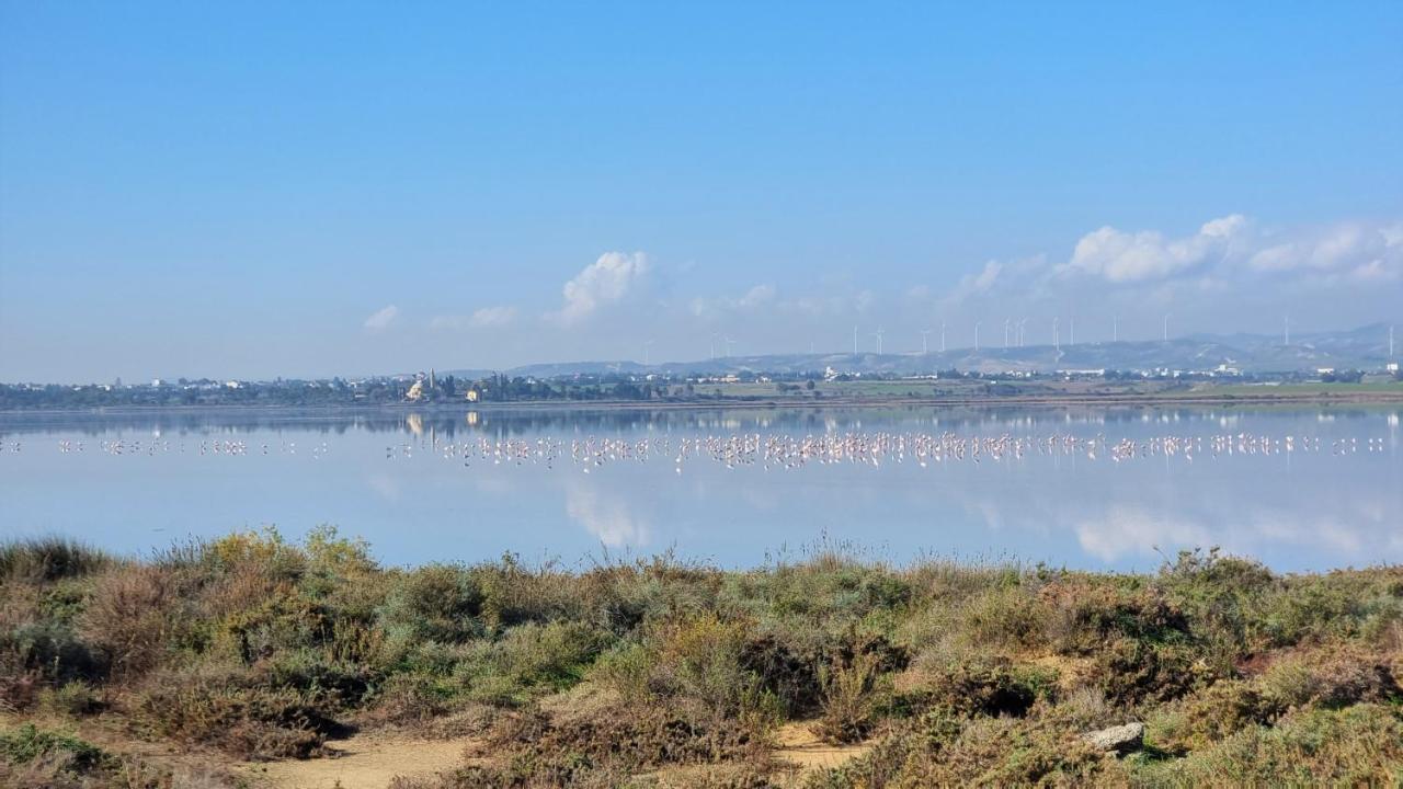 Cozy Beach Apt / 100 Mbit+ Netflix / Near Airport Larnaca Eksteriør billede
